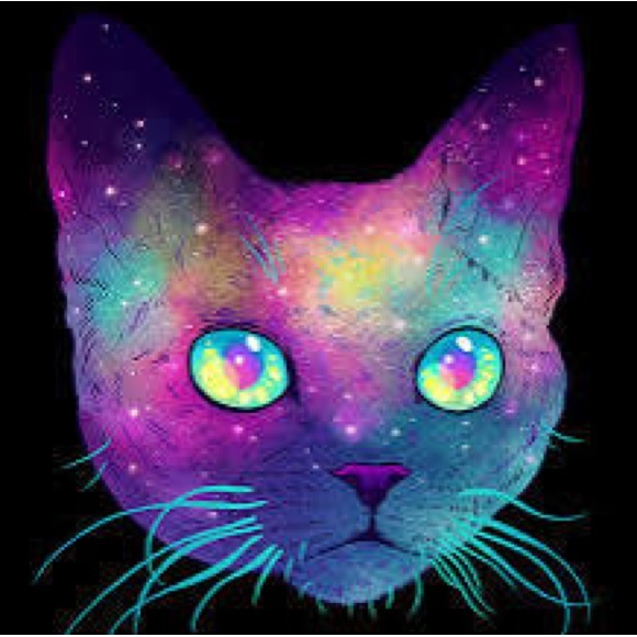 galactickat009